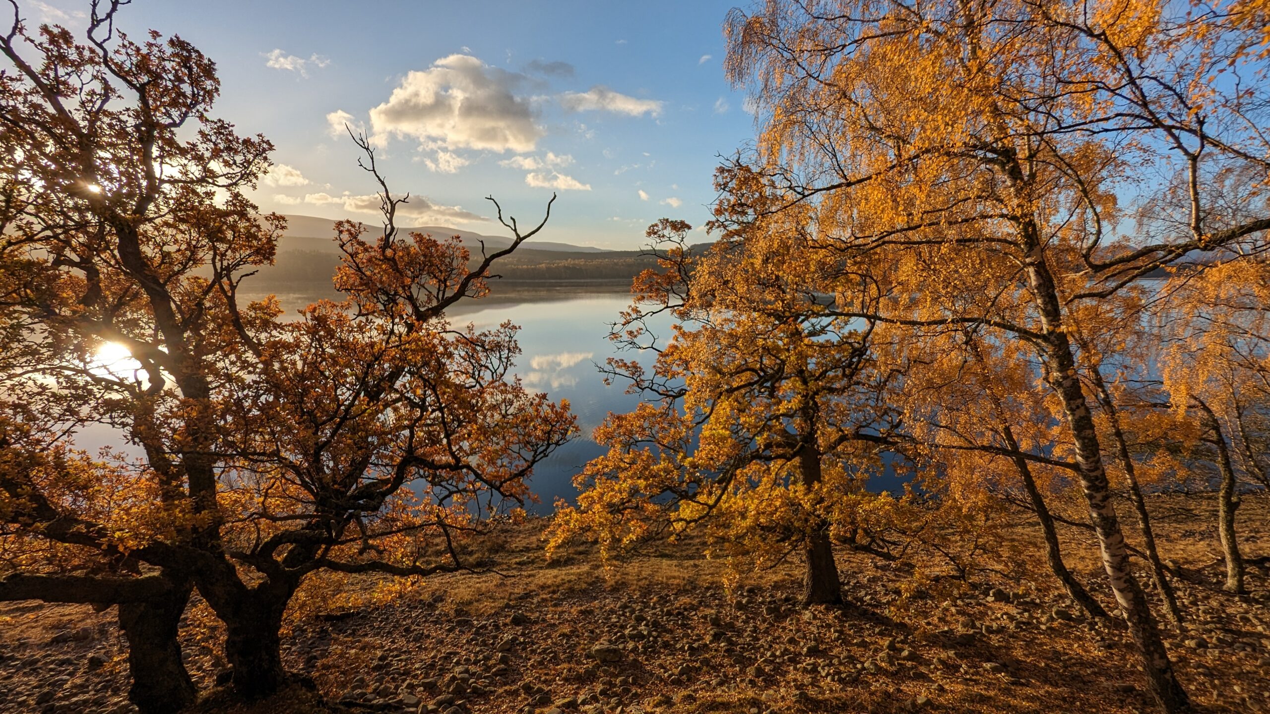 PXL_20231031_081854656