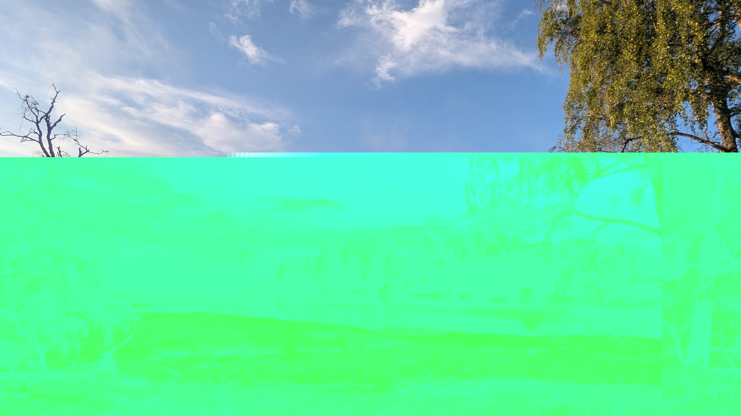 PXL_20250717_052847847
